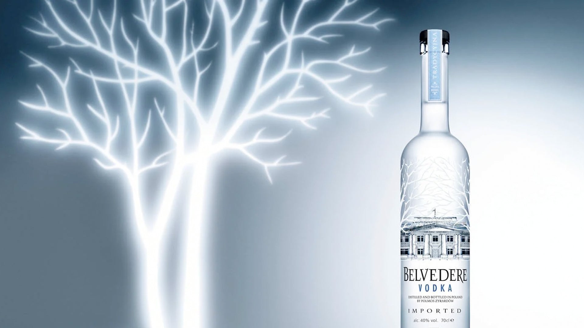5+ Fun Facts About Vodka You Should Know