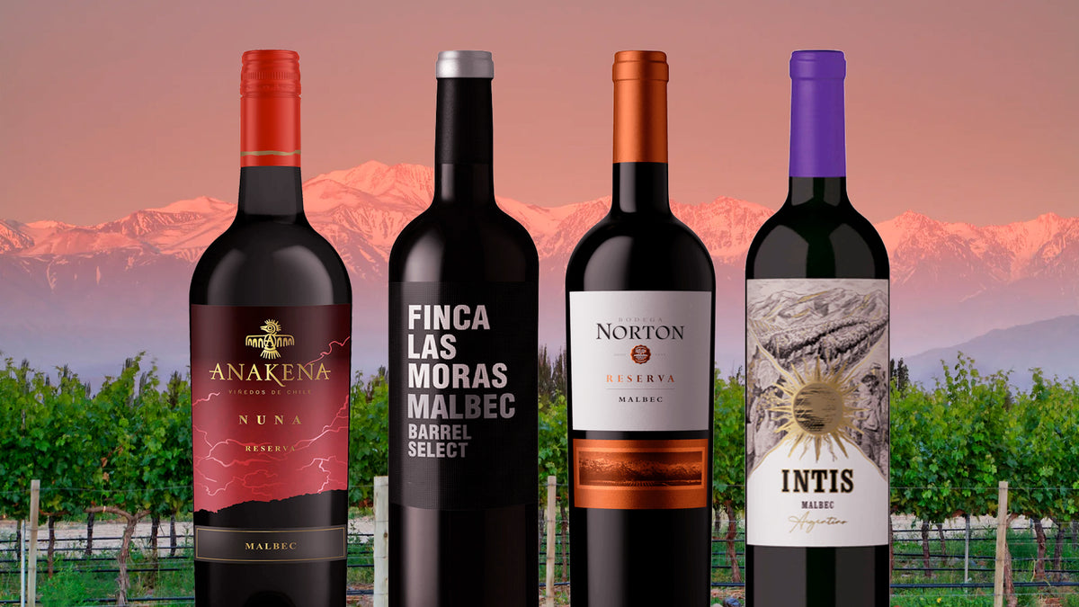 What is Malbec Wine? Learn This Argentina's Wine!