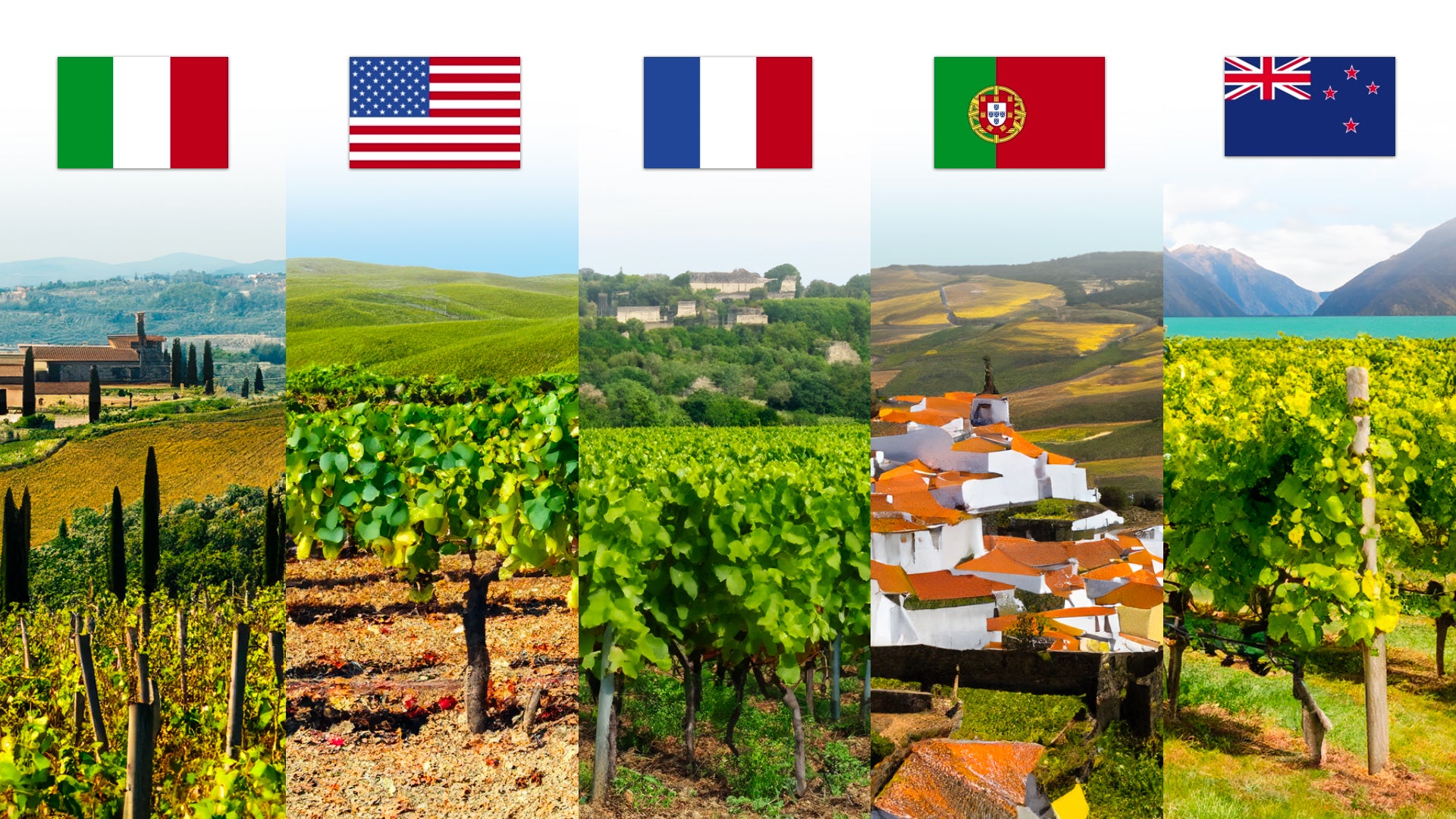 10 Must-Visit Wine Destinations for Wine Enthusiasts