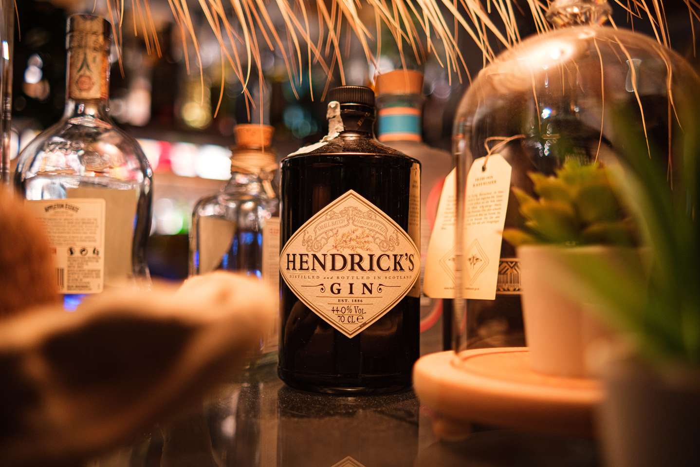 10 Best Gin Picks for Every Budget and Occasion
