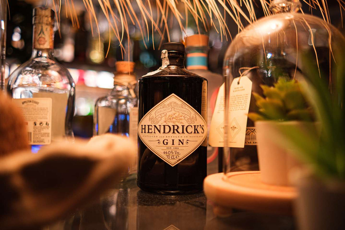 10 Best Gin Picks for Every Budget and Occasion