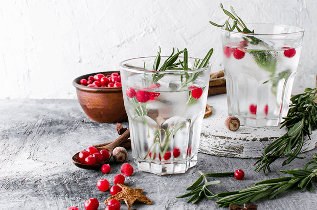 Botanical Vodka: A Flavorful Taste You Must Try