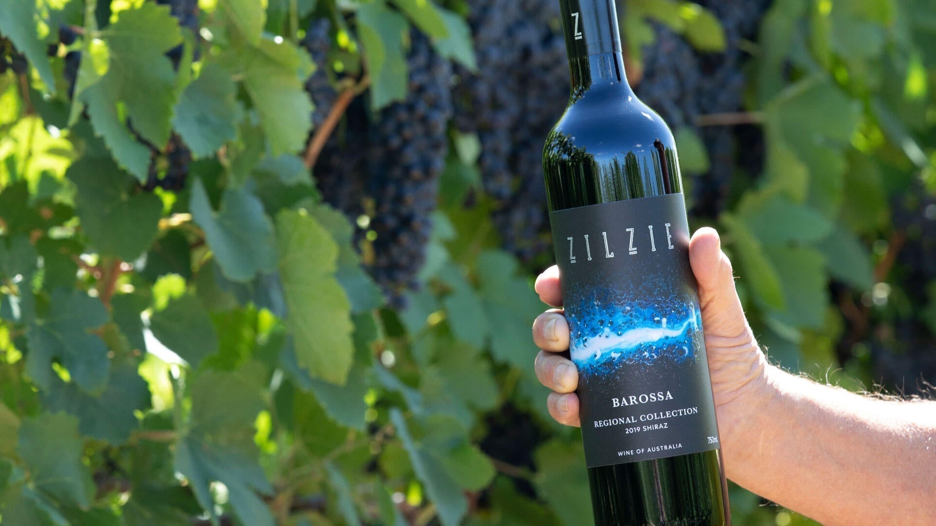 Family and Wine: The Zilzie Wines Story