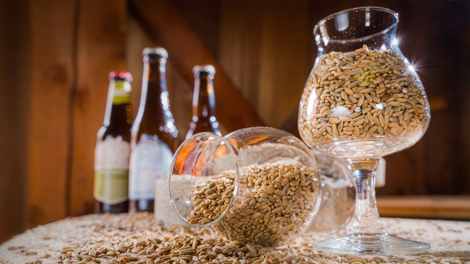 How to Make Beer at Home? Follow These Steps!