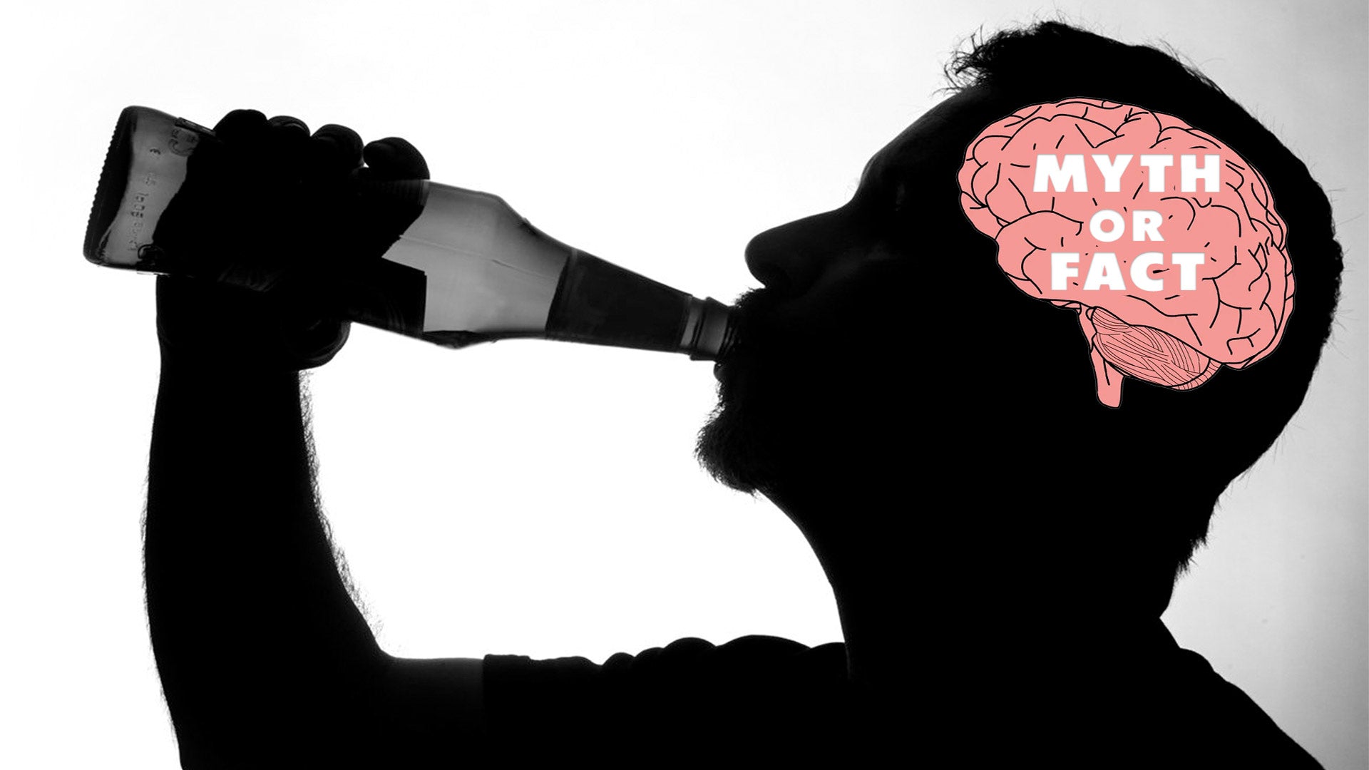 7 Misleading Alcohol Myths and the Truth Behind Them
