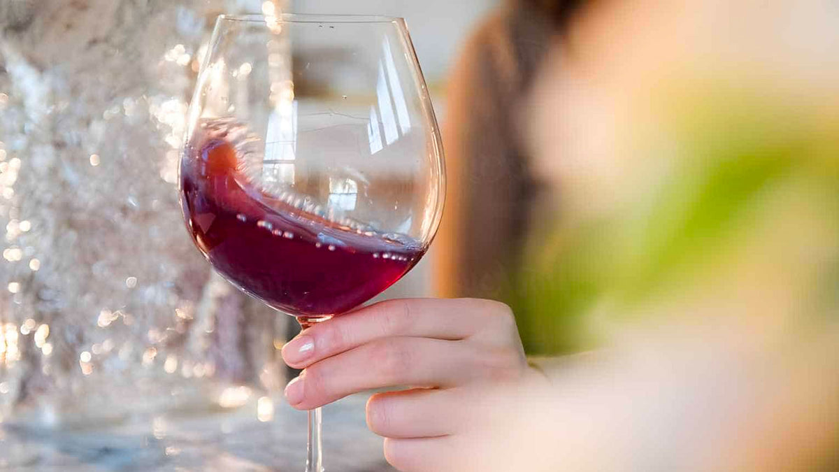 Wine Tasting 101: Savouring the Goodness in the Grapes