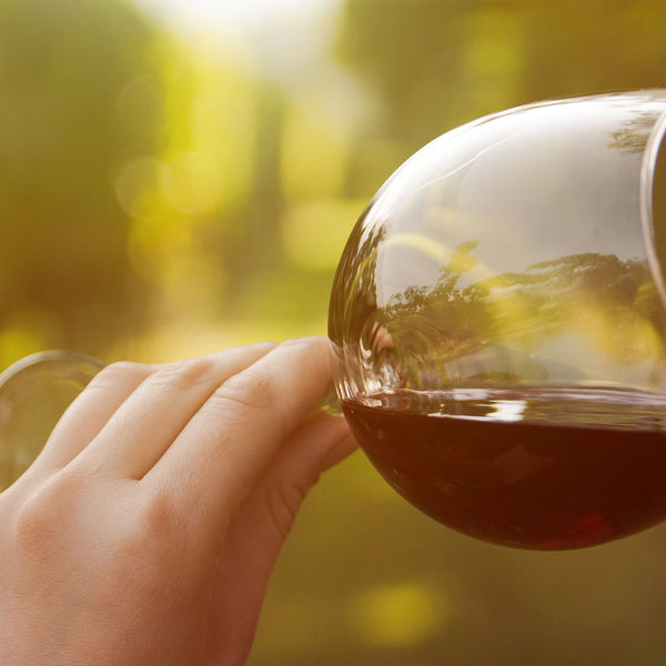 How To Drink Wine: 12 Essential Tips To Elevate Your Experience