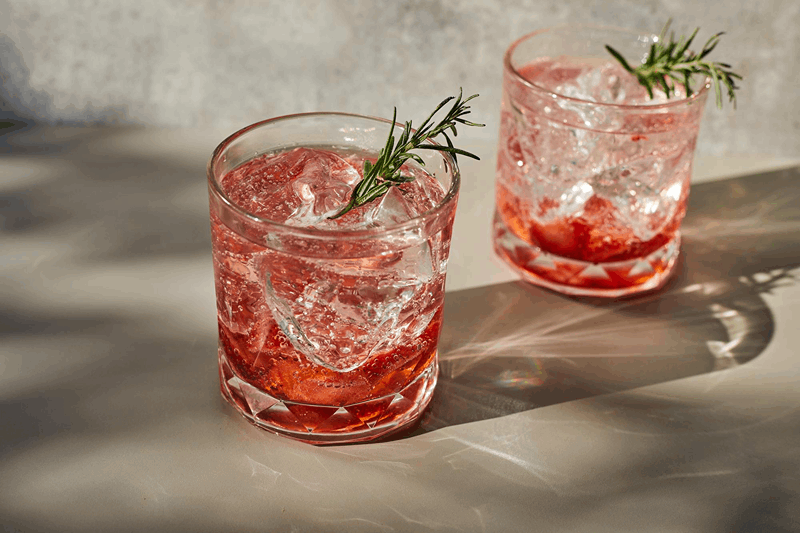 The Best Gin for Negroni: A Connoisseur's Guide