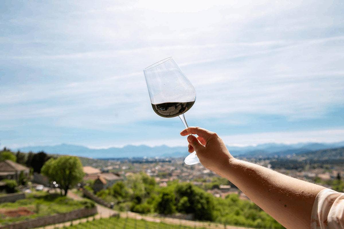Chilean Wine Guide: Best Varietals, Regions, and Bottles to Try