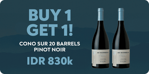 Cono Sur 20 Barrel Pinot noir Buy 1 Get 1