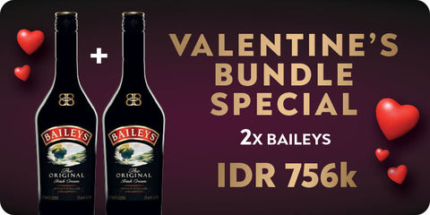 Baileys Original Irish Cream 2 bottle Valentine bundle