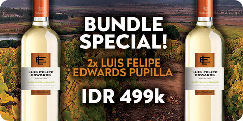 Special Bundle - Luis Felipe Edwards