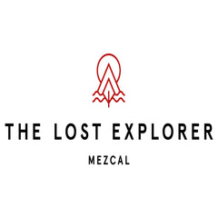 The Lost Explorer