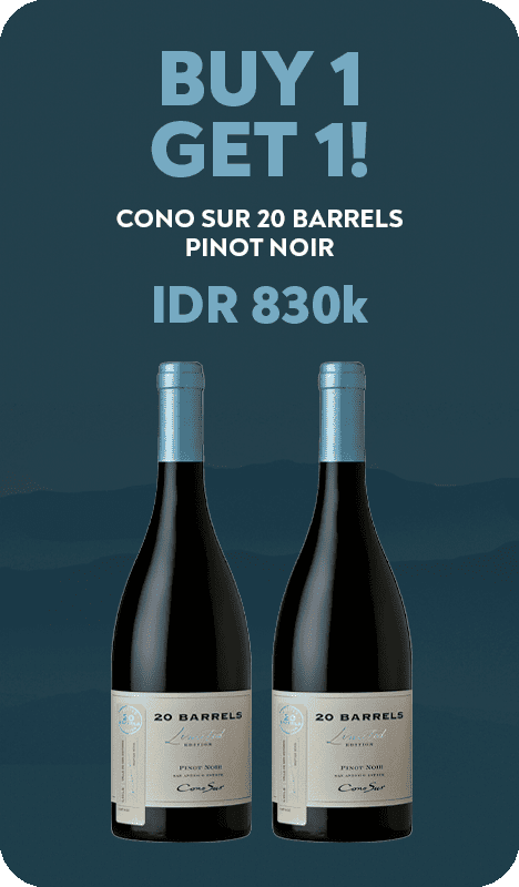/collections/cono-sur-20-barrel-pinot-noir-buy-1-get-1