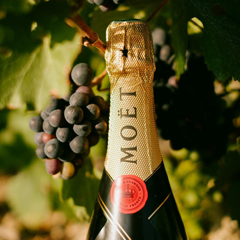Buy Moet & Chandon Imperial Brut 750ml at Minuman.com
