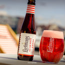 Liefmans Fruitesse Beer - 250ml - 4btls