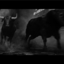 Bushmills 10yrs 700ml